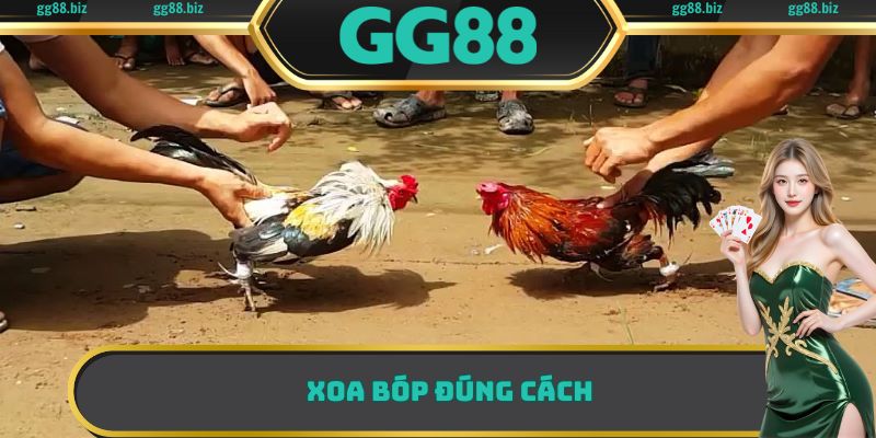 Om bóp đúng cách giúp gà chiến sở hữu lớp da chắc khỏe hơn