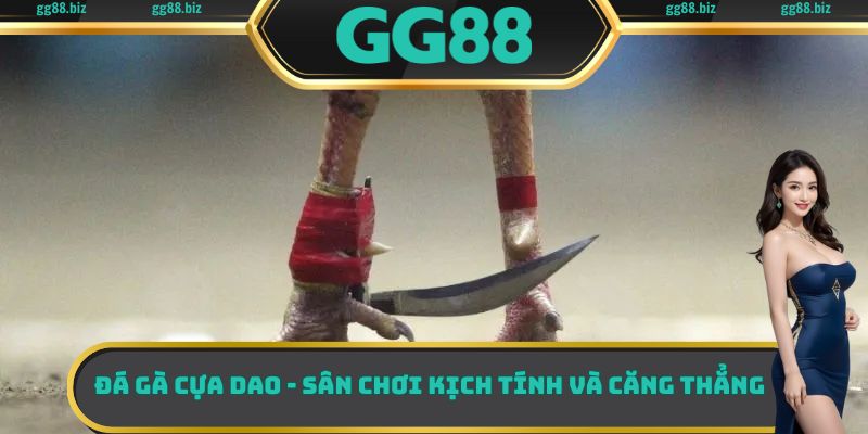 đá gà cựa dao