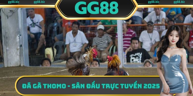 đá gà Thomo