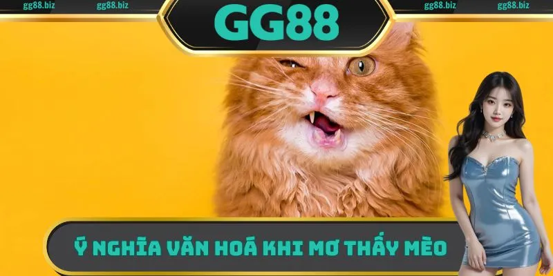 Ý nghĩa văn hoá khi mơ thấy mèo