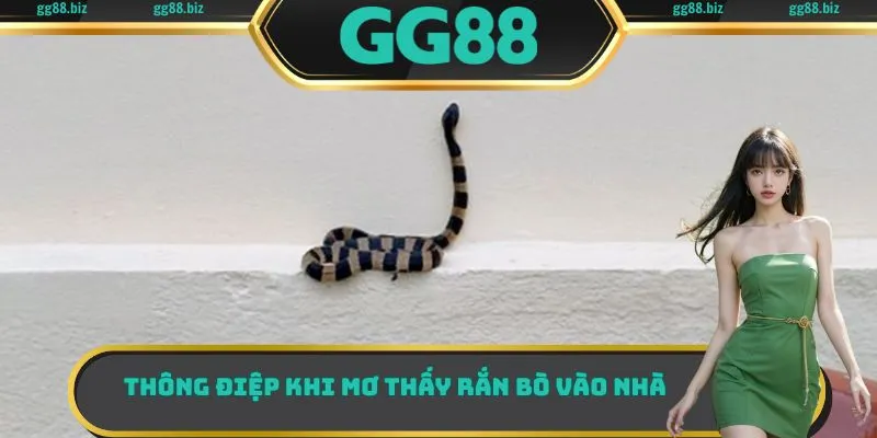 Thông điệp khi mơ thấy rắn bò vào nhà