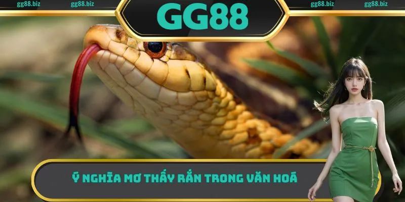 Ý nghĩa mơ thấy rắn trong văn hoá
