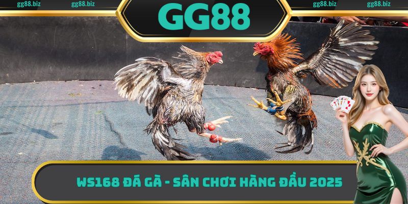 WS168 đá gà